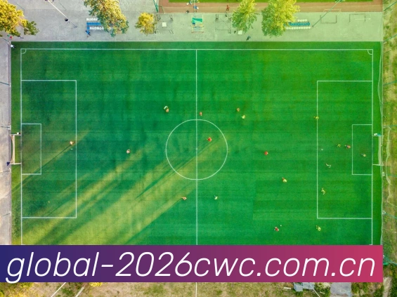 2026世界杯官方服务